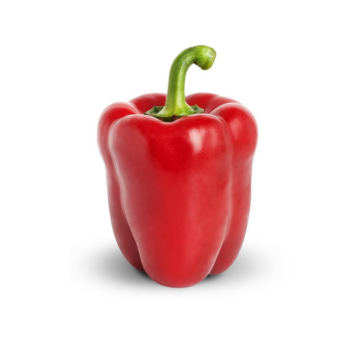 capsicum_8c26fa471ee58035.jpg