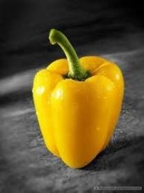capsicum